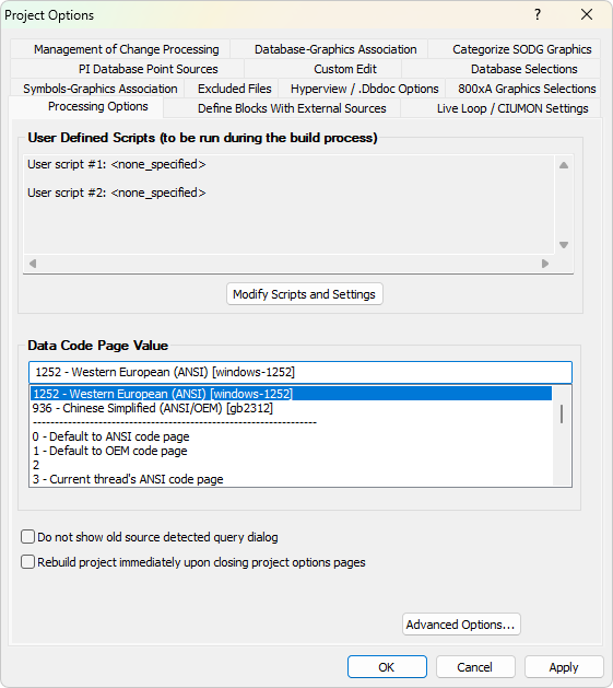 Project options processing options.png